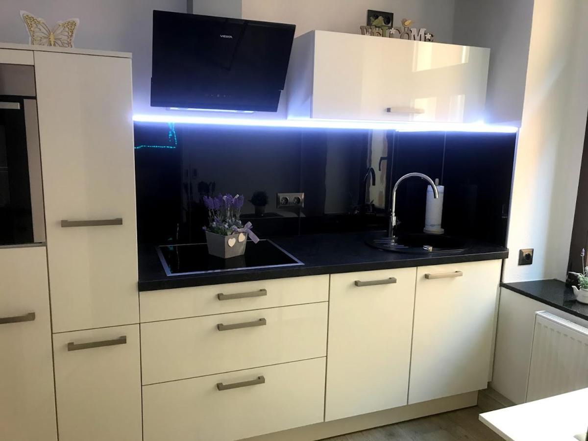 Salzhausblick Business Apartments - Zentrale Lage Am Salzhaus - Mwst-Rechnung Verfuegbar Zittau Ruang foto