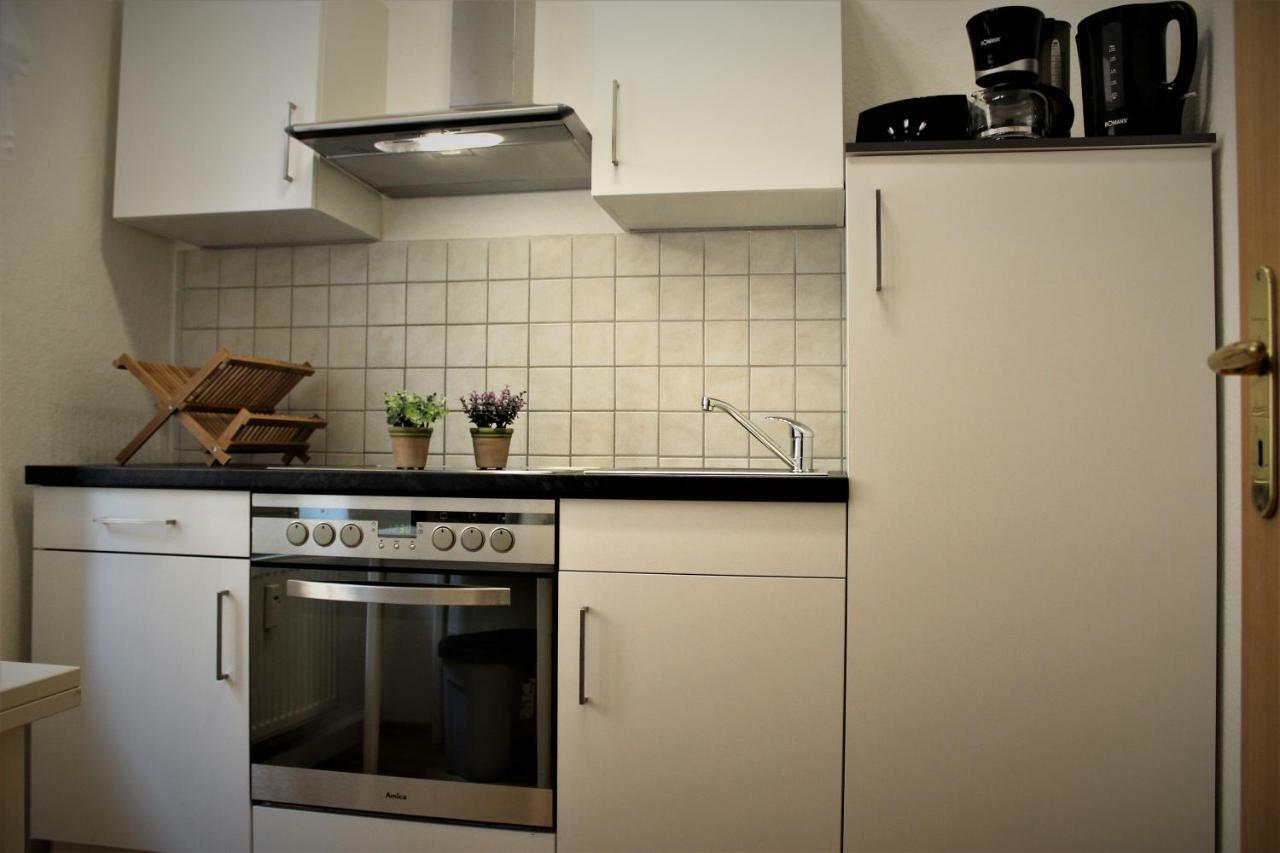 Salzhausblick Business Apartments - Zentrale Lage Am Salzhaus - Mwst-Rechnung Verfuegbar Zittau Bagian luar foto